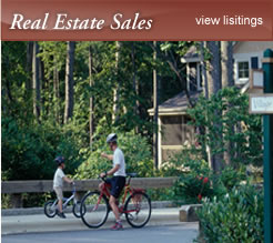 Real Estate Sales